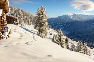 Foto: Winterlandschaft